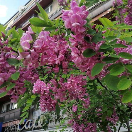 Pulawska 53 Apartment Warsaw Ngoại thất bức ảnh