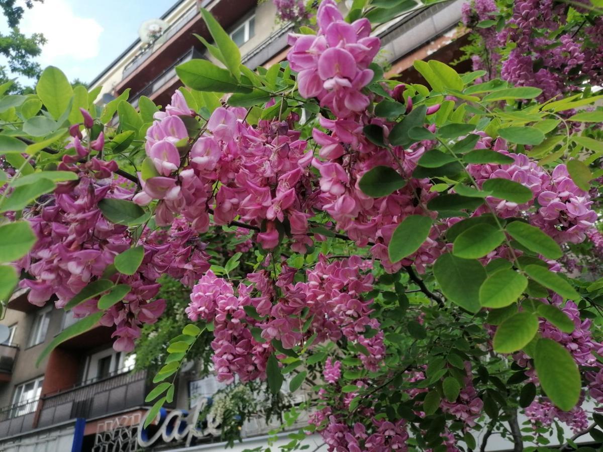 Pulawska 53 Apartment Warsaw Ngoại thất bức ảnh
